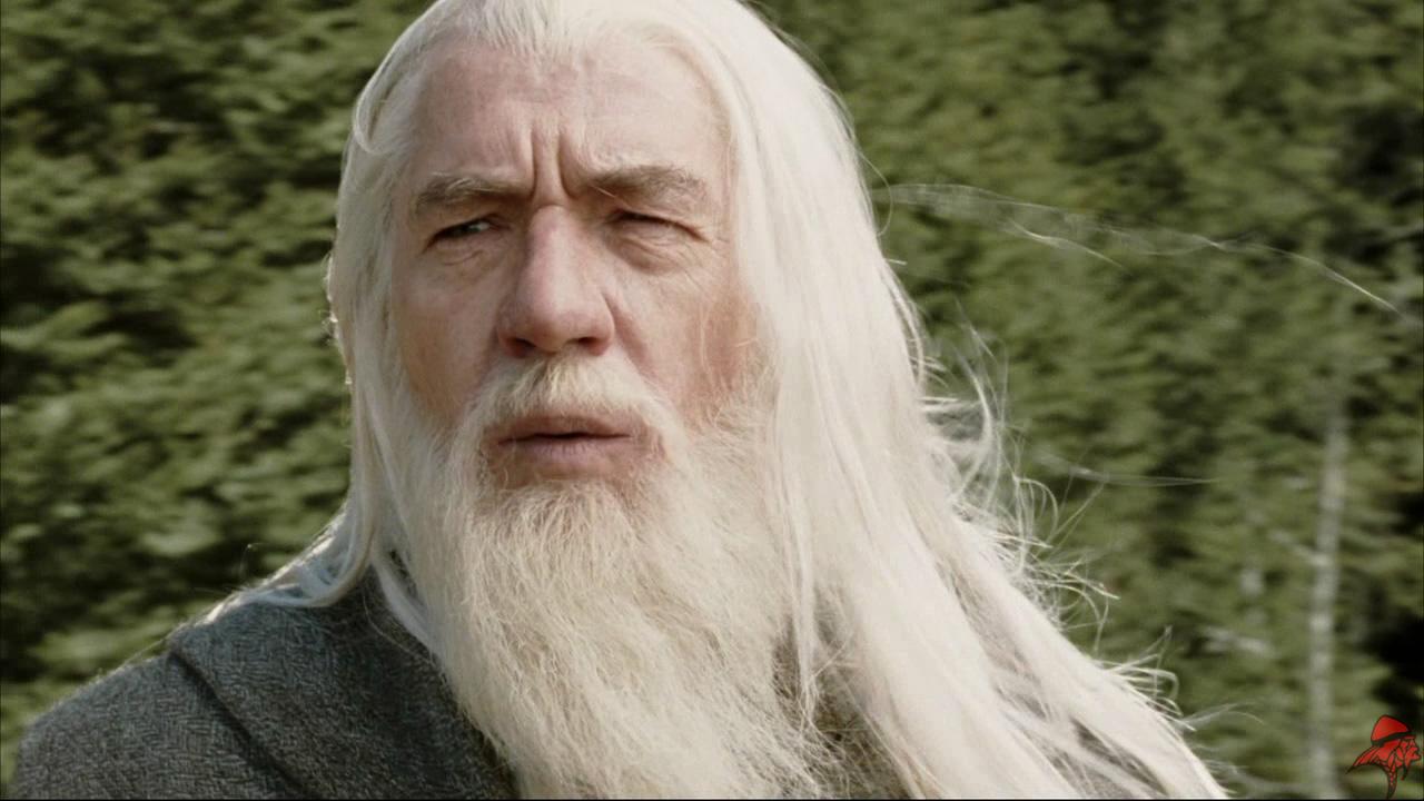 Ian Mckellen aceitaria ser Gandalf na série de O Senhor dos Anéis