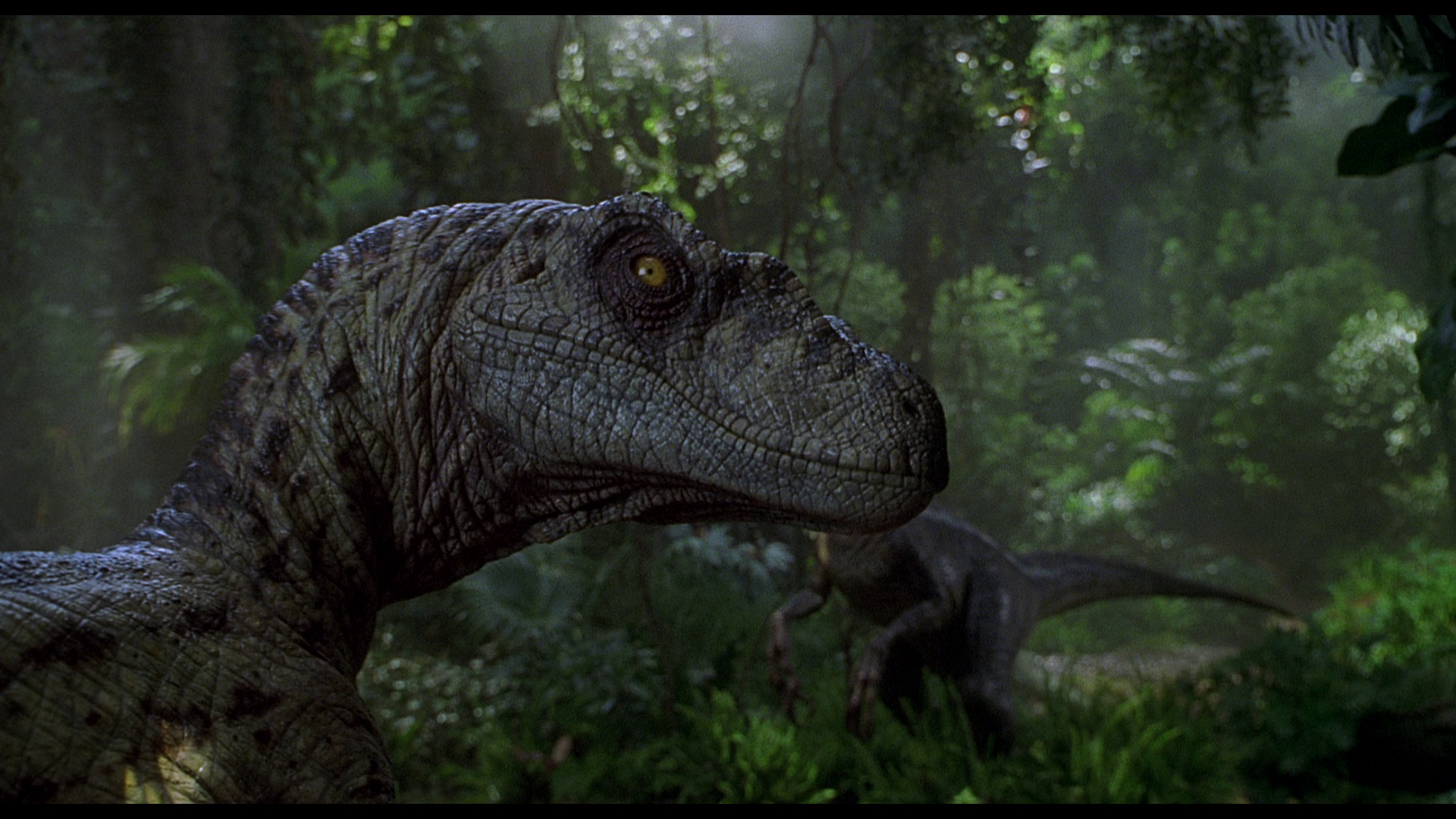 Acho que essa não vai assistir Jurassic World: Reino Ameaçado Hahahaha!