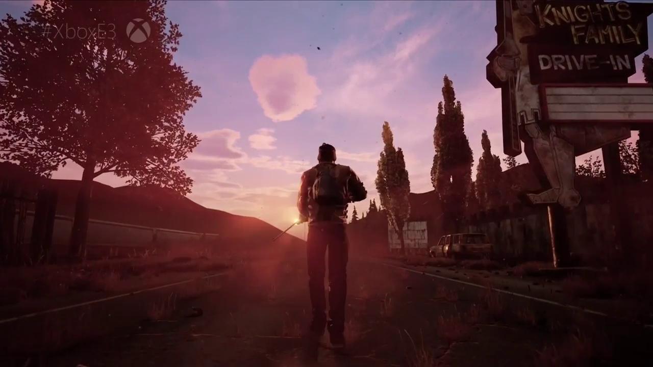 is state of decay 2 coop