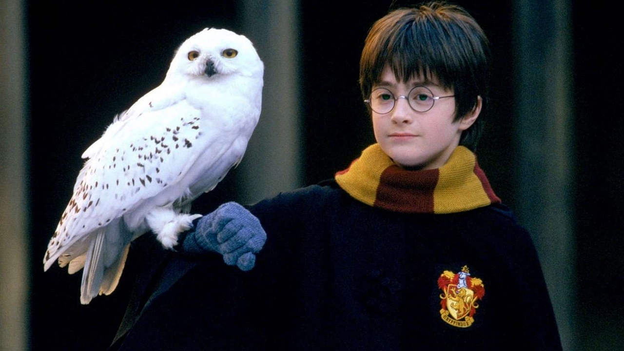 Harry Potter – série para o HBO Max está em desenvolvimento