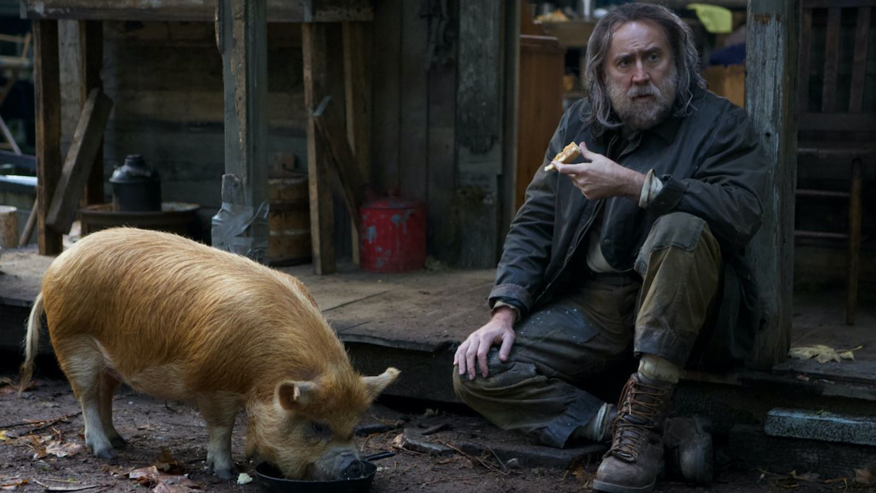 PIG – Nicolas Cage só quer saber de seu porco em trailer