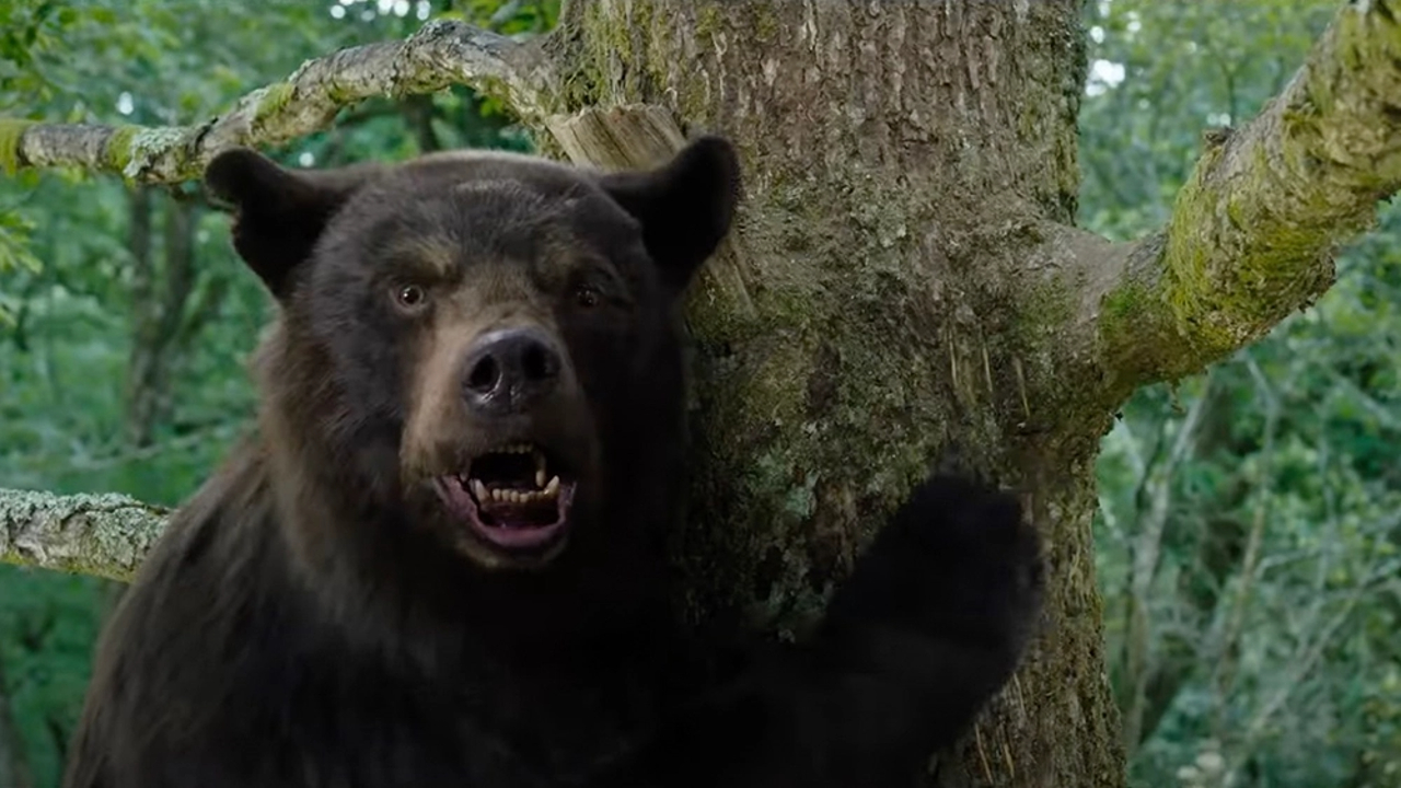 Urso do Pó Branco – longa de humor ácido baseado em fatos reais ganha trailer
