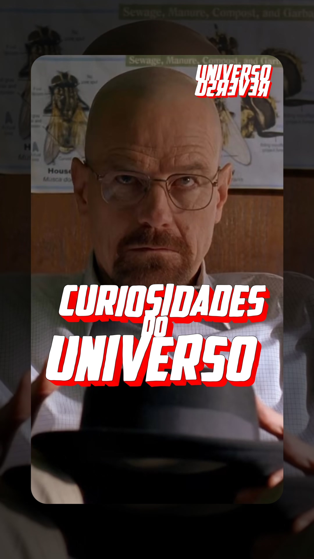CURIOSIDADES DO UNIVERSO - BREAKING BAD